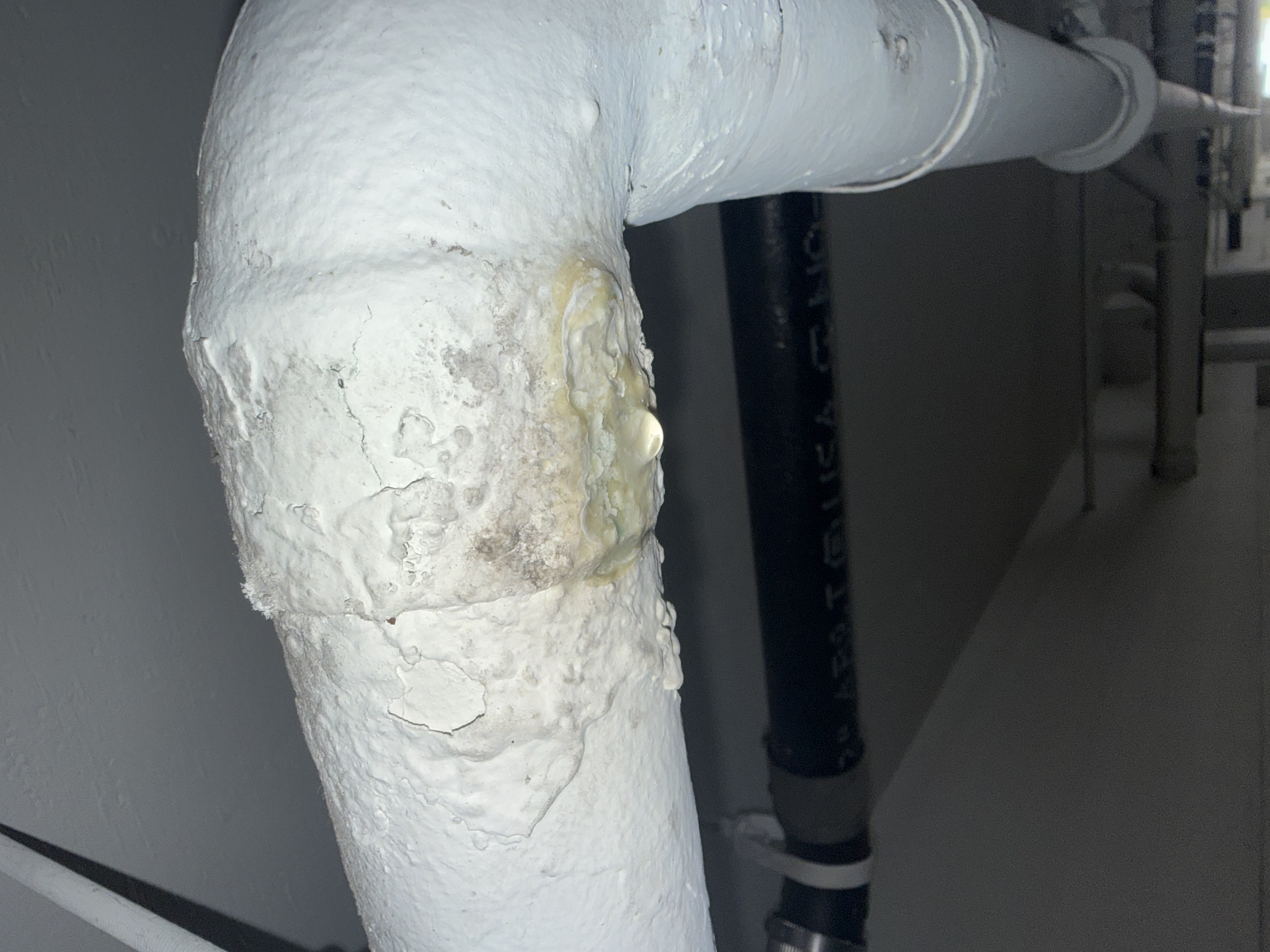 Plumbing pipe repair in Santa Monica